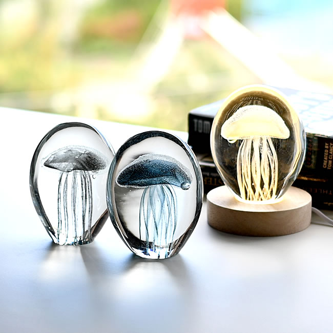 OVAL ガラスアート ジェリーフィッシュ クラゲ | ゼネラルストア オルネ