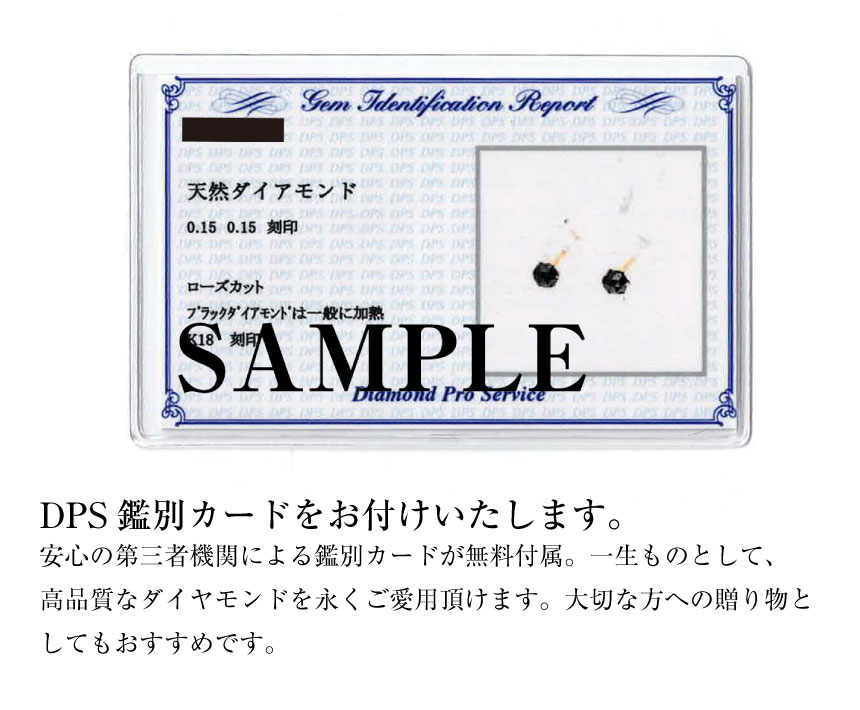ピアス 両耳 ブラックダイヤモンド 1粒 計 0.3ct スタッドピアス pt900