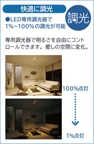 DAIKO 大光電機 スポットライト DSL-5398YWG | 商品紹介 | 照明器具の