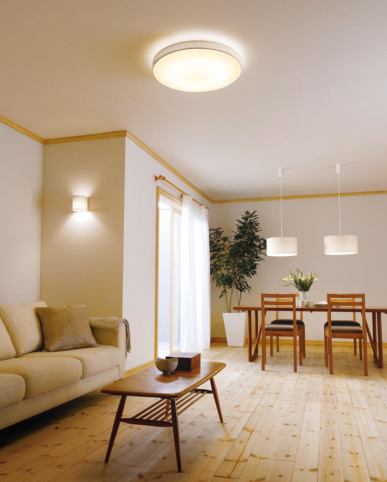 ODELIC オーデリック シーリングライト OL251671P1 | 商品紹介 | 照明