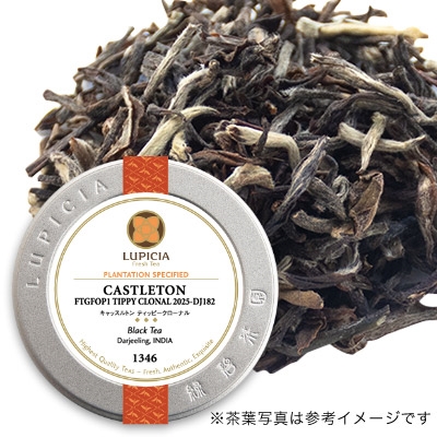 LUPICIA】キャッスルトン ティッピークローナル, 2025-DJ182 CASTLETON