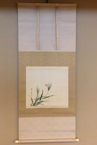 雅瀑図 掛け軸 掛軸 望月玉渓 共箱あり 34 雅瀑図 掛け軸 掛軸 望月玉