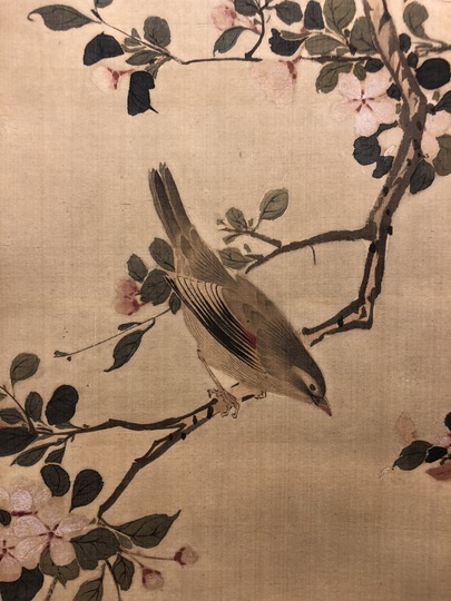 Shiba Kokan Flower and birds｜Matsumoto Shoeido | Japanese