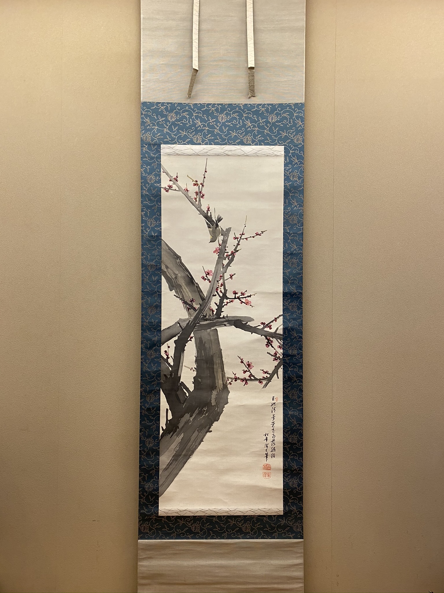 K茶道具 掛軸 旭日喬松図 鈴木松年作•書付(写真18) 共箱 紙 S947KJ K