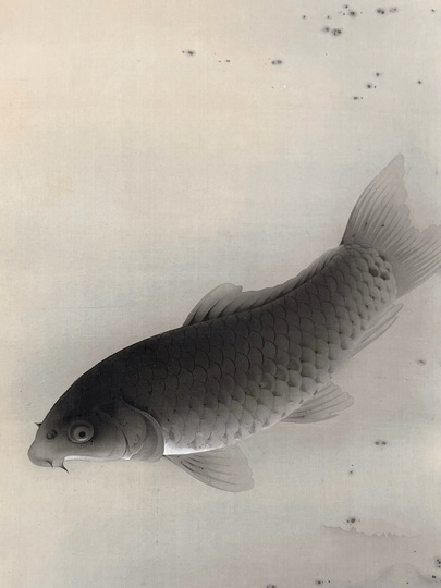 徳岡神泉 鯉之図｜古美術・掛け軸の販売・買取・鑑定-松本松栄堂