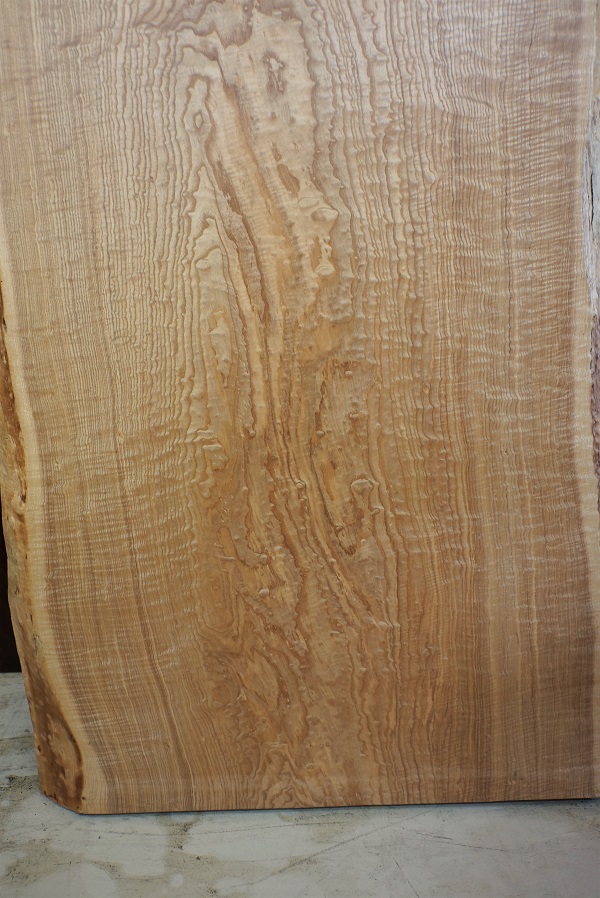 天然木 東京 新宿 東五軒町店展示 欅（けやき・ケヤキ）材 一枚板