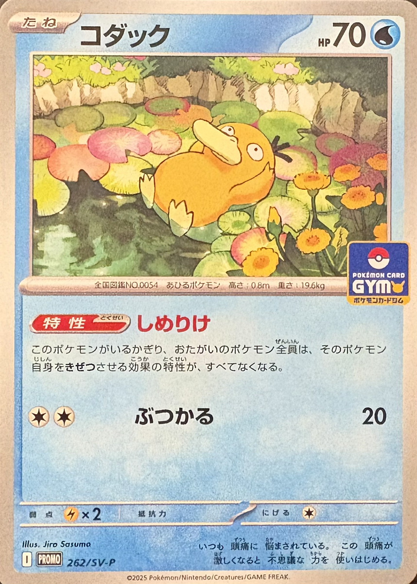 ポケモンカードゲーム コダック ポケキュン プロモ
