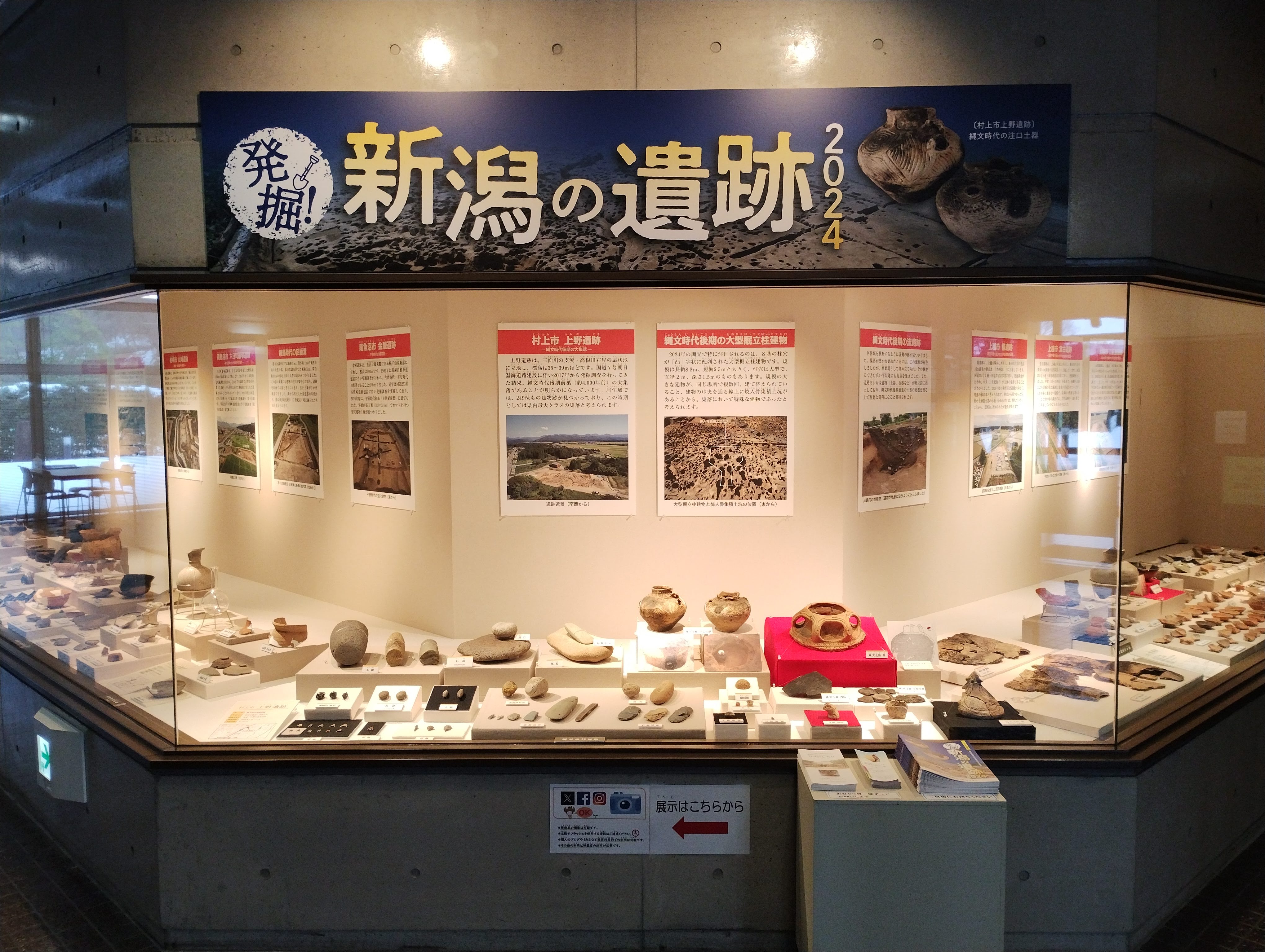 新潟市の蔵出し品 発掘品 大鉢 【公式通販】