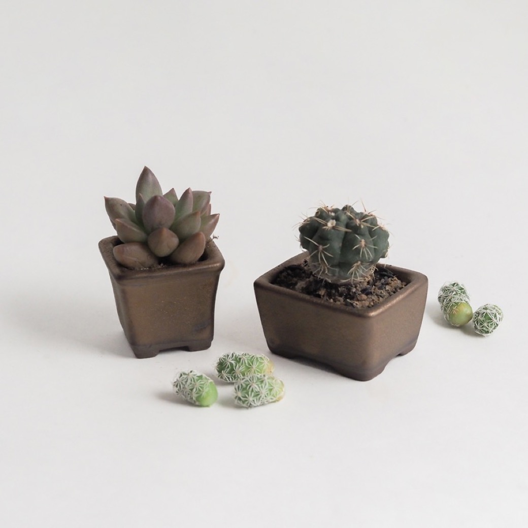 2024 ミニ鉢、盆栽鉢、山野草鉢(今岡町です) 町直 盆栽鉢 植木鉢 山