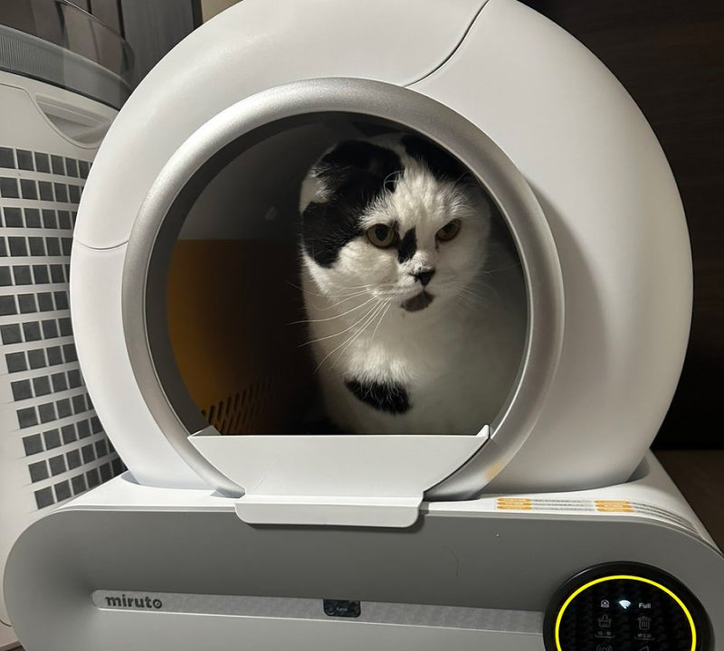 猫用 全自動トイレmiruto(ミルト)