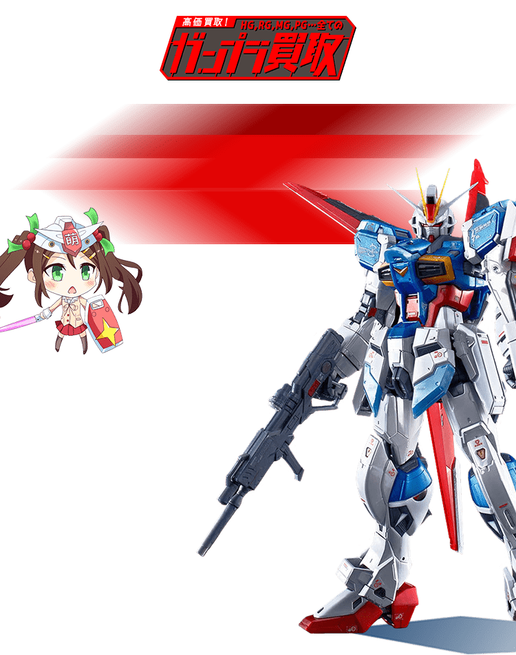 RG(リアルグレード) ガンプラ 2体セット 値下げ可 RG 1/144 RX-78-2