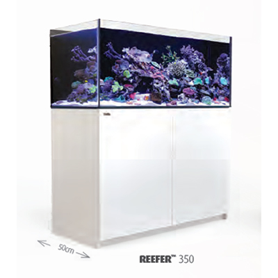 取寄】G3モデルRedSea REEFER 350 White(120cm) フランジ付き - 海水魚