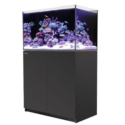 取寄】G3モデルRedSea REEFER 250 Black(90cm) フランジ付き - 海水魚