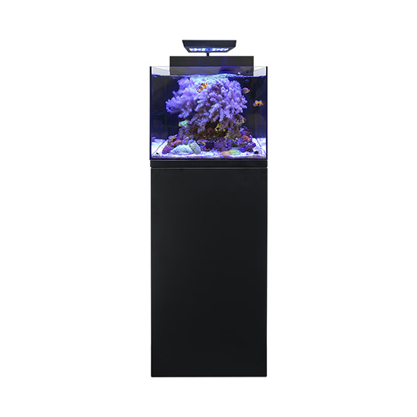 やっちゃん Shell 水槽 やっちゃん様専用 Shell 水槽