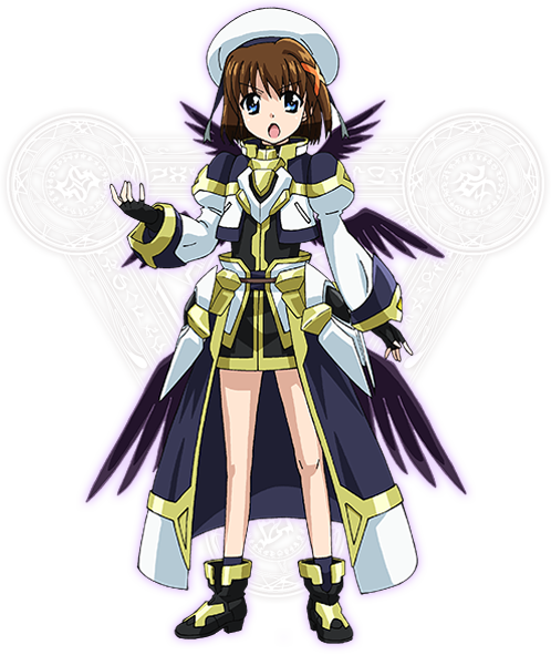 ヴァイス 魔法少女 リリカルなのは 20th SEC 夜天の書と共に はやて