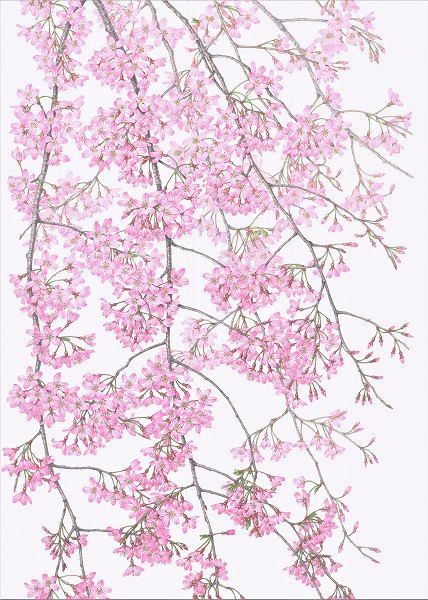 NHK文化センター｜好奇心の、その先へ NHKカルチャー