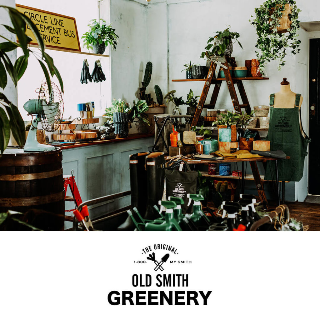OLD SMITH GREENERY | BRAND ブランド | ニコアンド（niko and