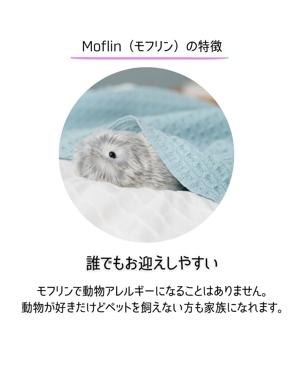✨モフリン(Moflin) シルバー✨ 最終価格❗️【新品】 moflin モフリン