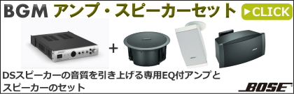 BOSE 増設拡張用パワーアンプ (ローインピーダンス) [ZA250-LZ
