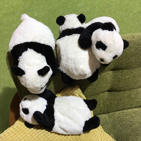 あそんで！パンダ | ぬいぐるみのセキグチ