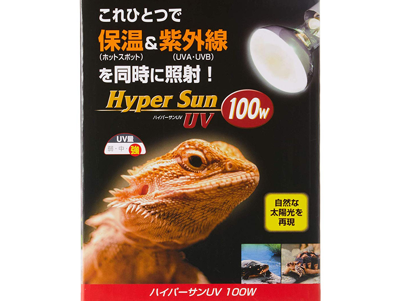爬虫類ショップ サウリア大東店｜ハイパーサンUV 100W