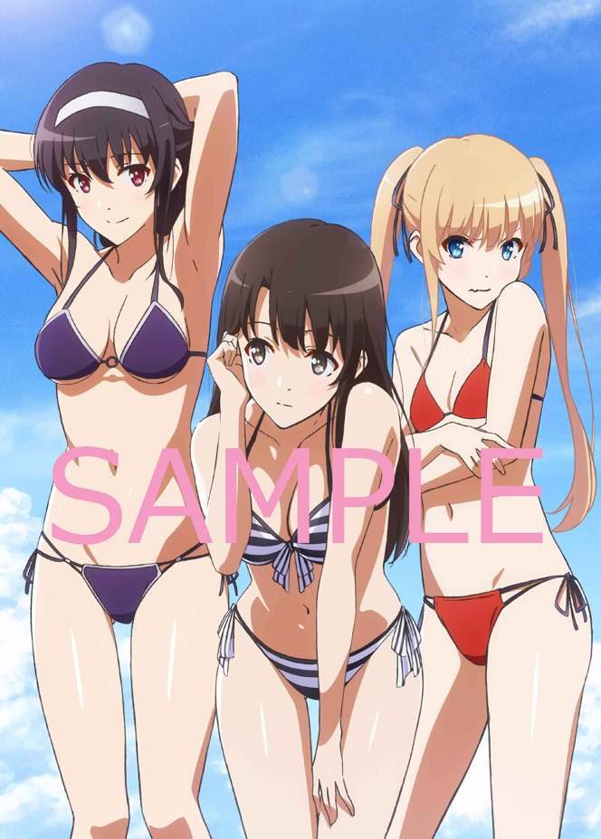 店舗特典 - BD&DVD/CD | TVアニメ『冴えない彼女の育てかた♭』公式サイト