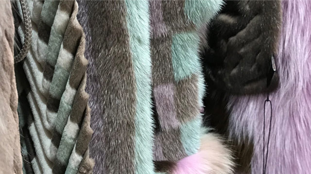 Saga Furs | Auctions | Inspiration | Responsibility | Sustainability