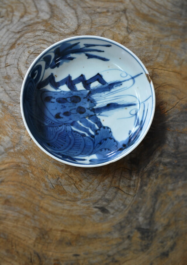 中国 康熙年製 染付龍紋皿 アンティーク 送料込み250417 中国明時代 古