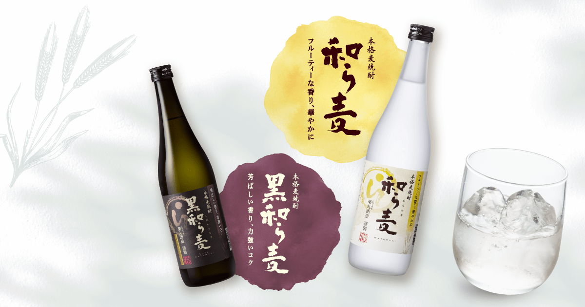 本格麦焼酎 破壊王ゴジラ ゴジラ 破壊王 本格麦焼酎 希少