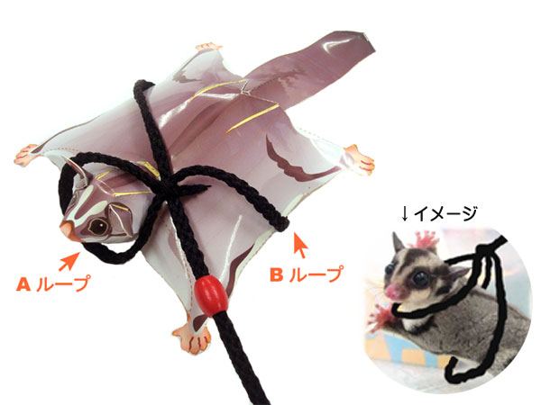 モモンガハウス