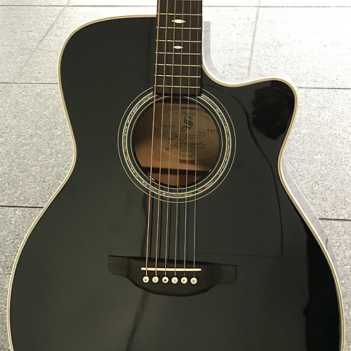 ギターショップ シェリー Shelly | 商品リスト