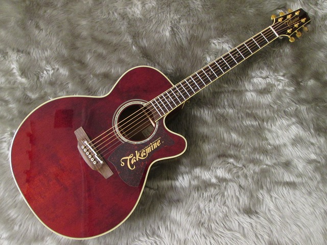 アコギ情報】大原櫻子も愛用！Takamine DMP551C展示してます！｜島村