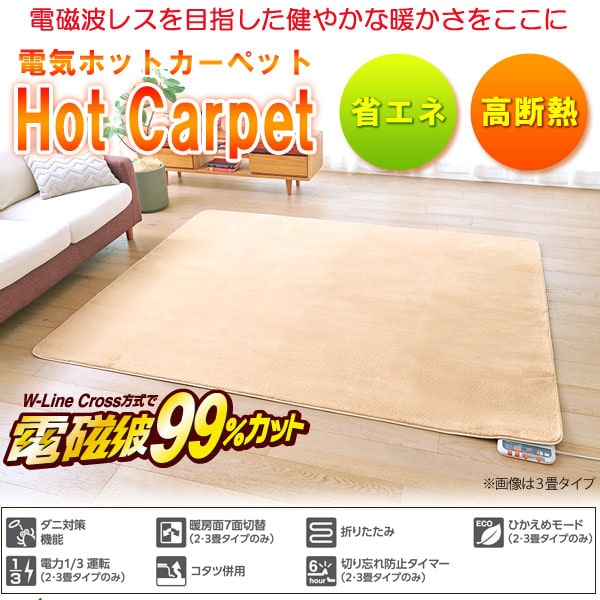電磁波99％カット（磁界）電気ホットカーペット・無地カバー付 2畳相当