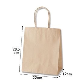 25枚】HEIKO 紙袋 Pスムースバッグ 22-22 白無地