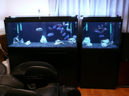 120cm水槽4面黒フルセット 引取りのみ 120cm水槽4面黒フルセット 引