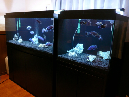 アクリル水槽 四面艶消白 W1200 D600 H450 ワンオフ 佐川急便発送