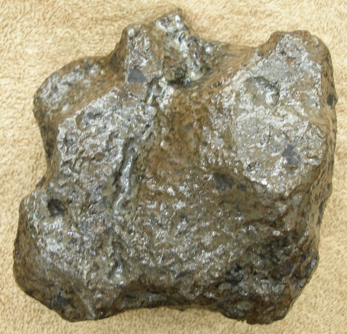 カンポデルシェロ隕石（カンポ・デル・シエロ隕石/Campo del Cielo