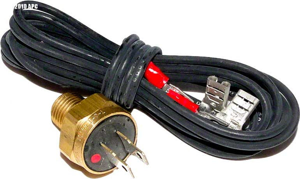 49679_grande.jpg?v=1666163065