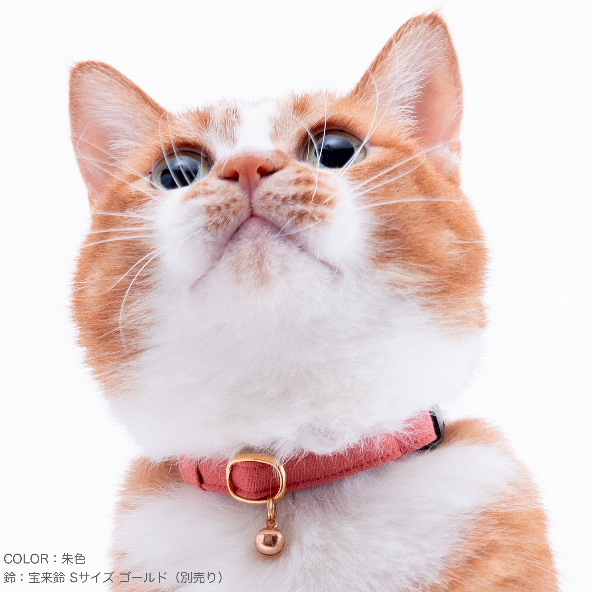 猫首輪 MUJIコットンプレーン 浅緑｜ぽぽねこ公式オンラインショップ