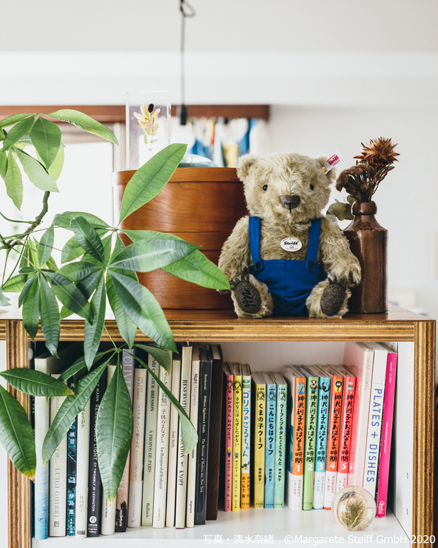 くまの子ウーフ×シュタイフ｜ポプラ社