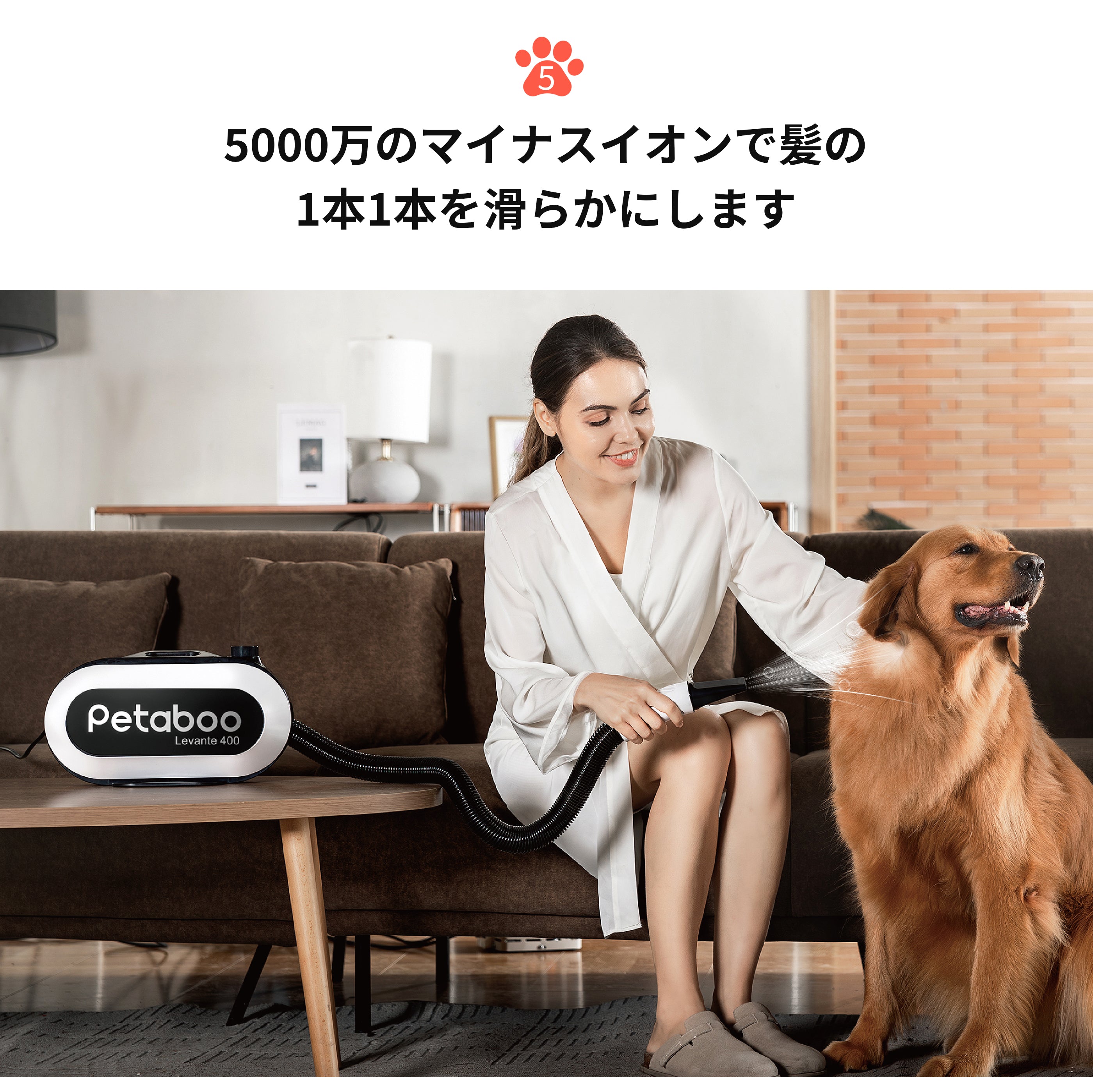 犬 ドライヤー Petaboo ペットドライヤー 【ハイパワー風力で速乾
