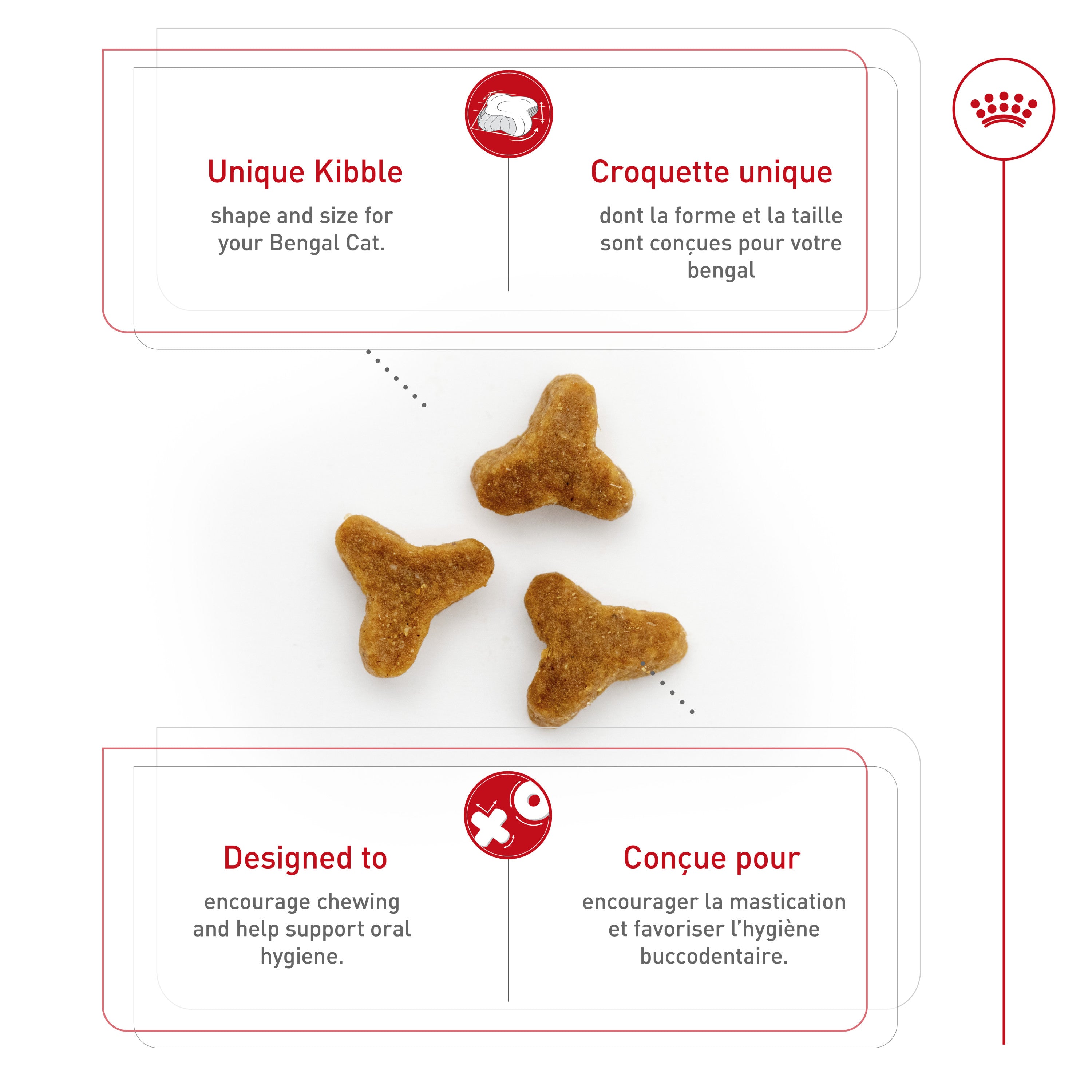 Buy Royal Canin Bengal Cat Food Online In Canada – PetMax