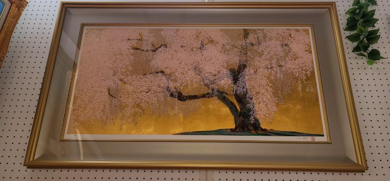中島千波】金色の額縁に優雅な満開の桜