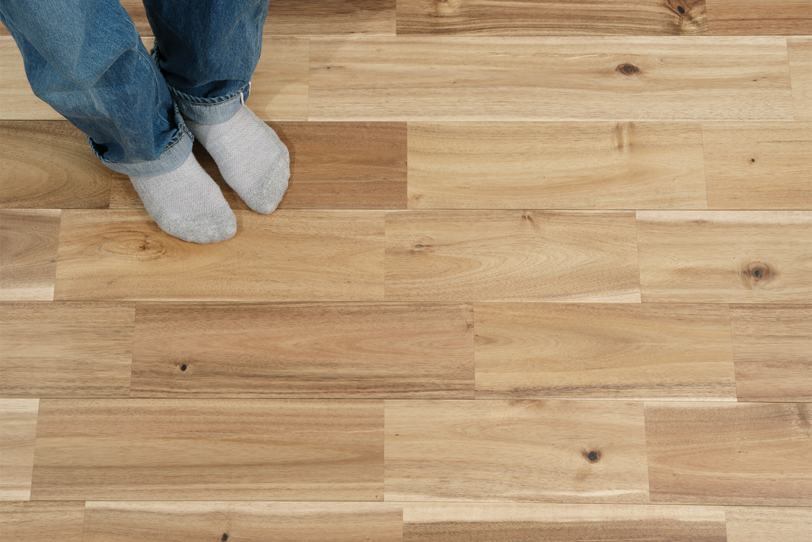 トロン603030アカシア材サイドアクリル仕様詳細オプションお写真2枚目