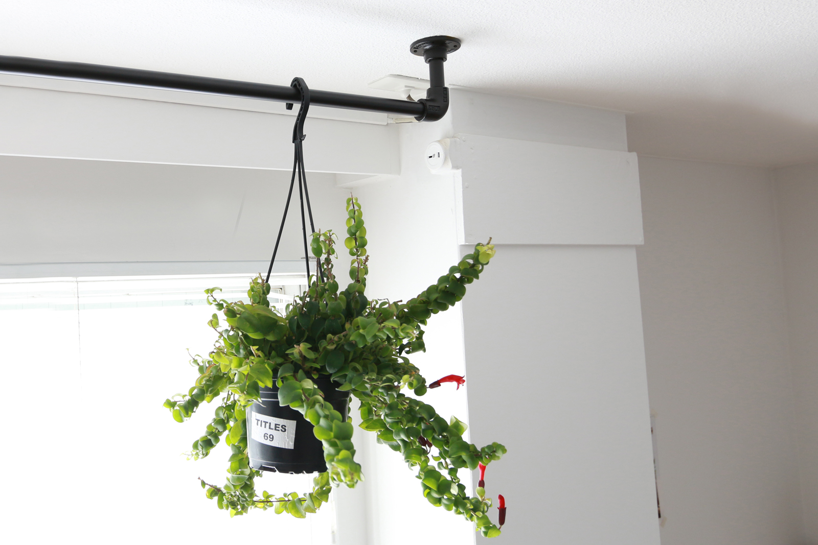 アイアンハンガーパイプ F型-棚下吊タイプ | PS-HB008-12-G192