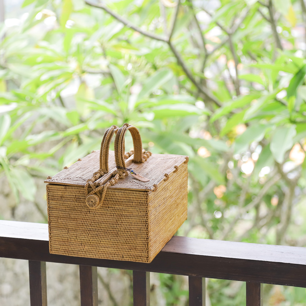 ピクニックMサイズ (PNC152) Rosily(ロージリー) バリ島 アタ