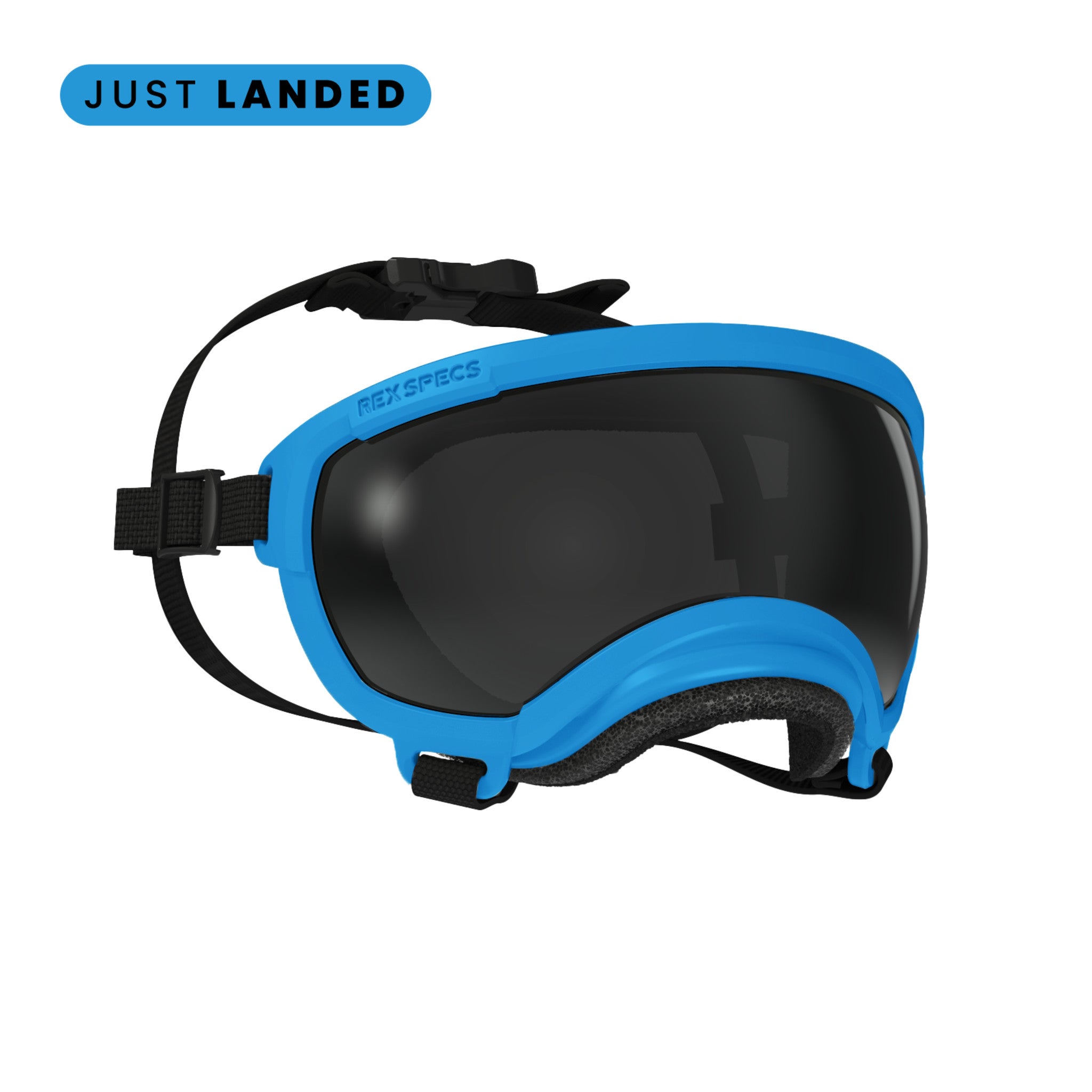 Dog Eyewear | Dog Goggles Eye Protection | Rex Specs