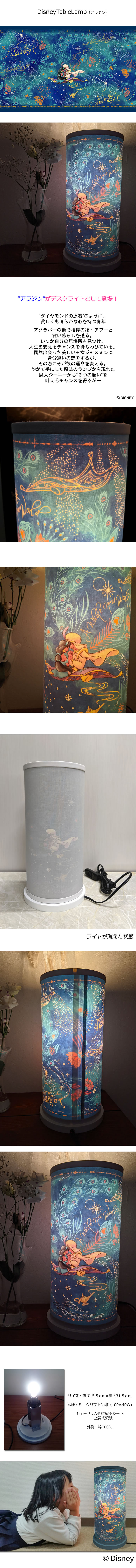 楽天市場】［10日限定5％OFFクーポン］ デスクライト アラジン | 完成