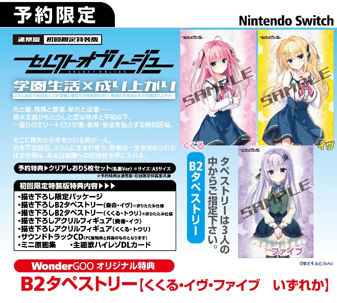 Nintendo Switch セレクトオブリージュ【オリ特】B2タペストリー