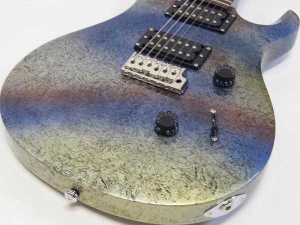 Paul Reed Smith /PRS ポール・リード・スミス SE Standard 24 Multi